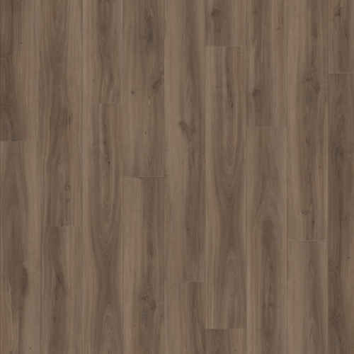 Moduleo Roots Classic Oak 24864