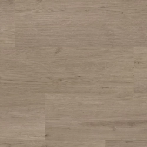 Venera dryback smoky