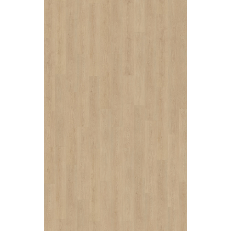 Belakos Monastro 920